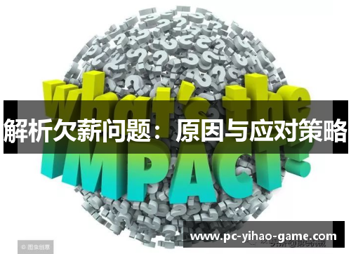 解析欠薪问题：原因与应对策略